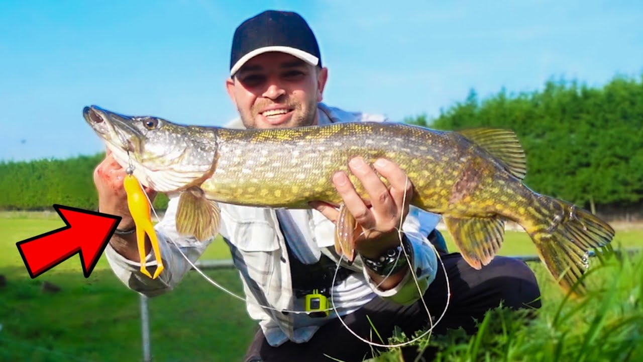 VISSEN OP SNOEK MET EEN KIKKER!