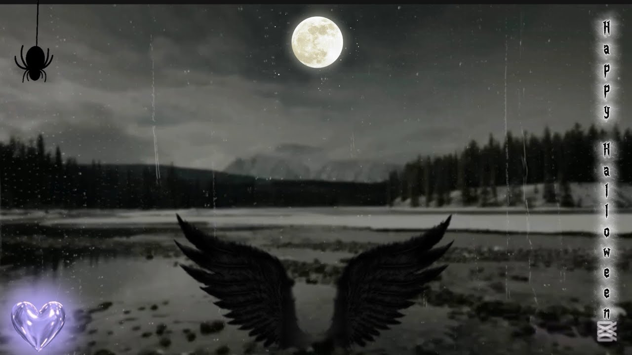 Wings - Birdy - Testo e Traduzione 
