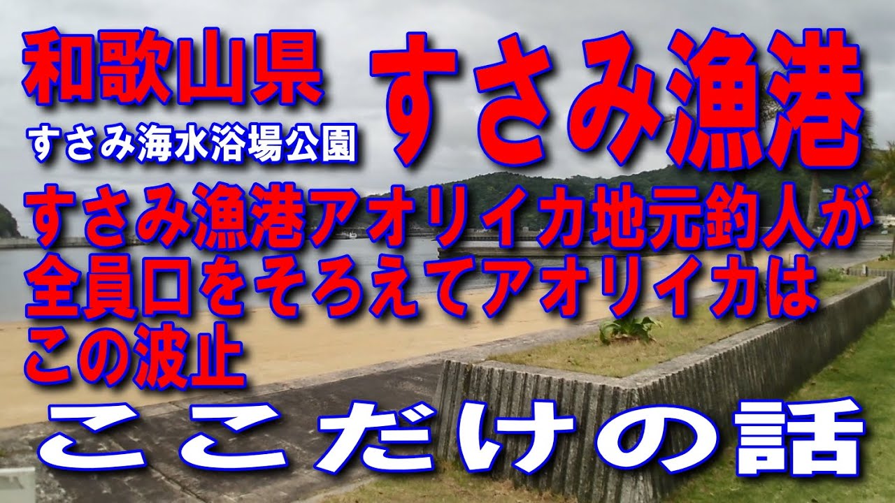#57和歌山県すさみ漁港アオリイカの波止ここだけの話地元釣人が全員口をそろえてアオリイカはこの波止砂浜が素敵雄大な海と豊かな自然ファミリー家族の砂浜遊びに良い水面を渡る風が心地よい海が育んだ風土が癒し