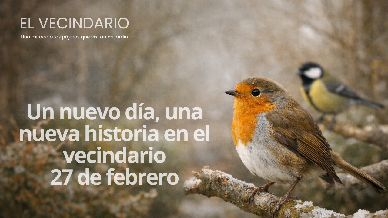 Un nuevo día, una nueva historia en el comedero. 27 de febrero. #birds #nature