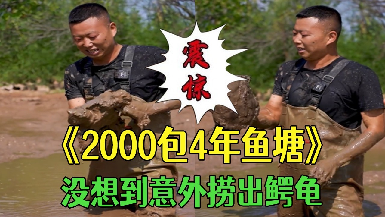 2000元包下4年魚塘，別人都嫌貴，沒想到意外撈出鳄龜 #小飛哥#三農 #農村生活 #護外 #新農人計劃2026#包塘