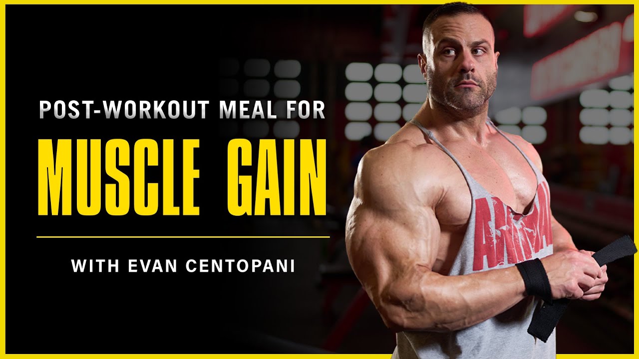Post-Workout Nutrition | Evan Centopani