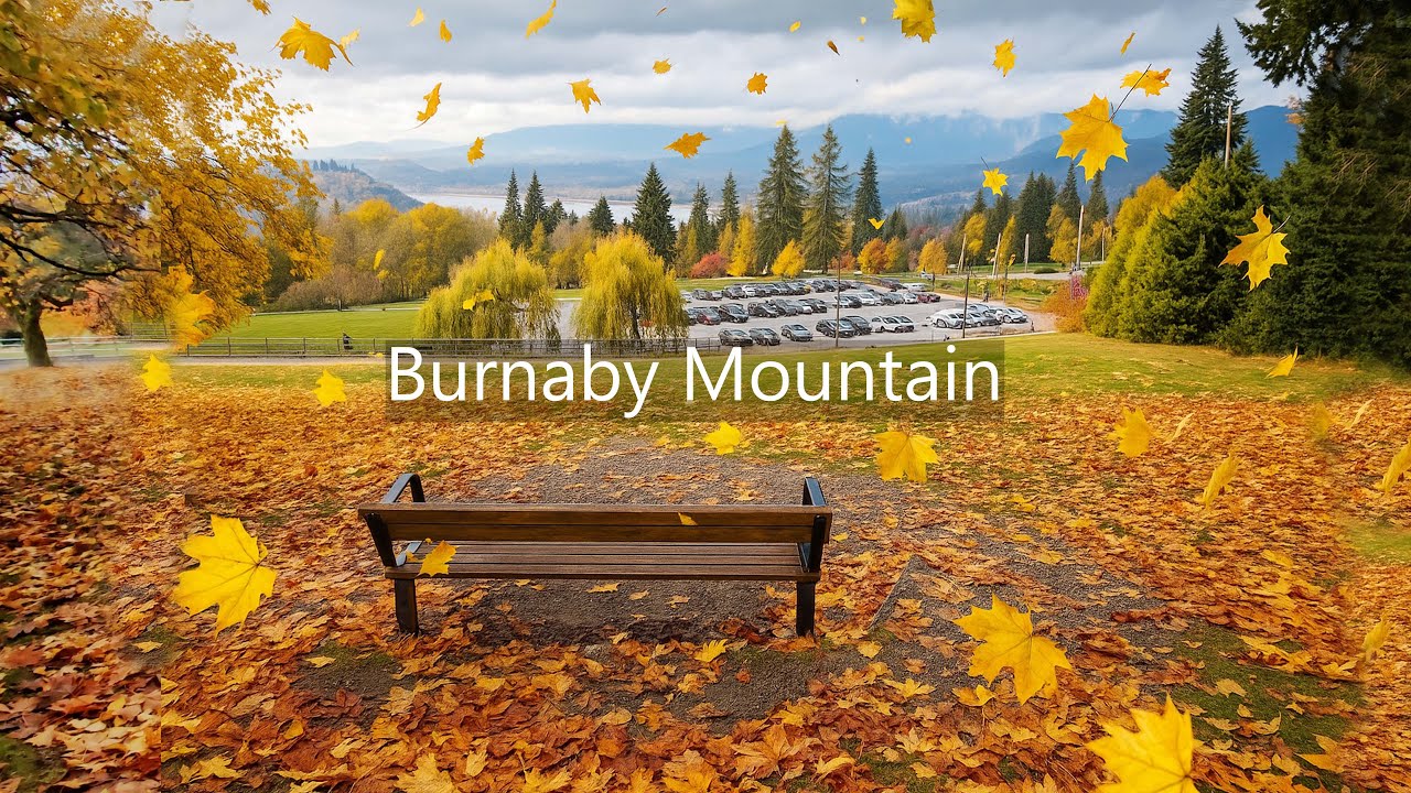 Fall Colors at Burnaby Mountain | Stunning Autumn Views in Burnaby BC