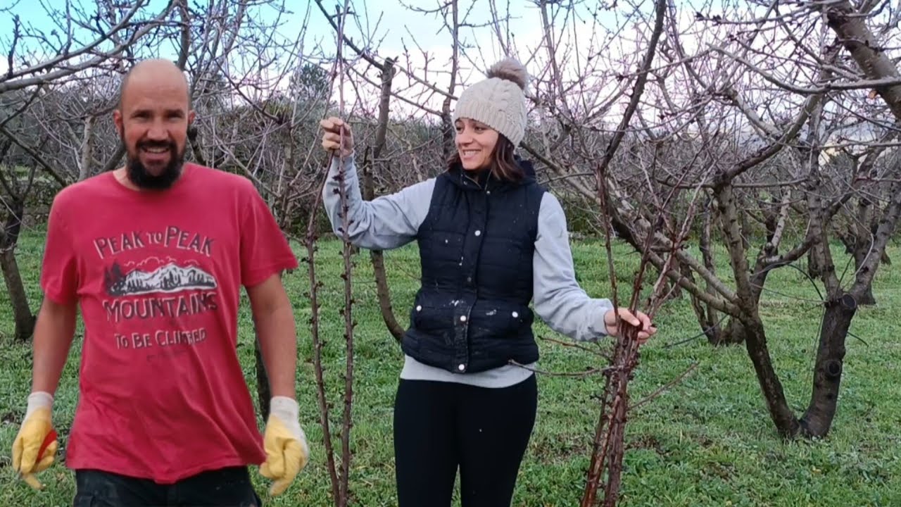 Facing challenges on our Portugal Homestead!!