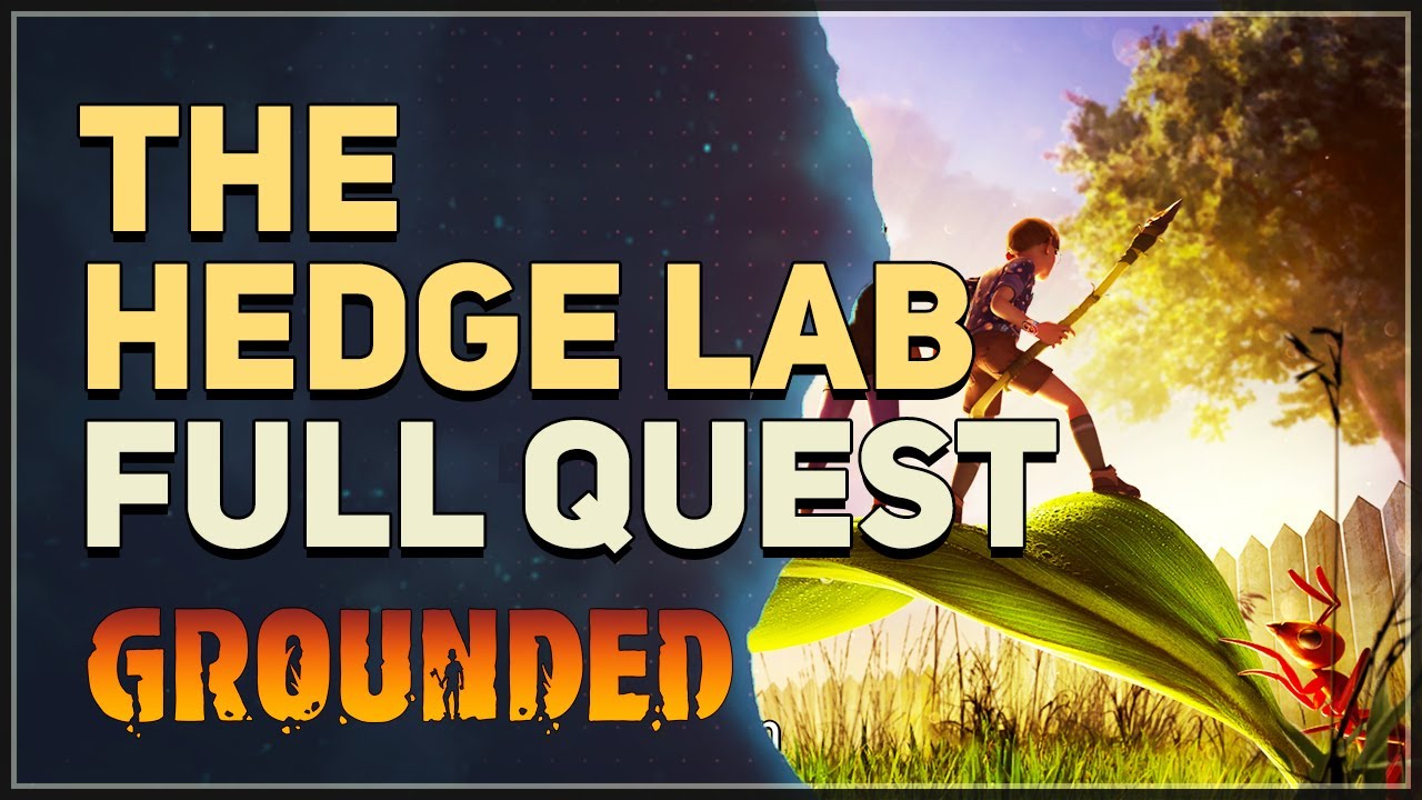The Hedge Lab Grounded