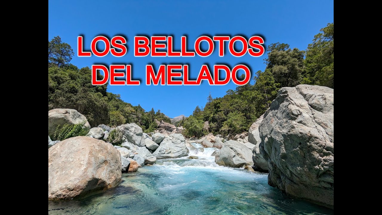 RESERVA NACIONAL LOS BELLOTOS DEL MELADO, MAULE LINARES COLBUN, CHILE 4K60