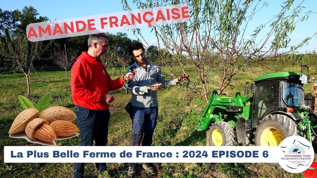 Production d'amande en France 🇫🇷 2024/6