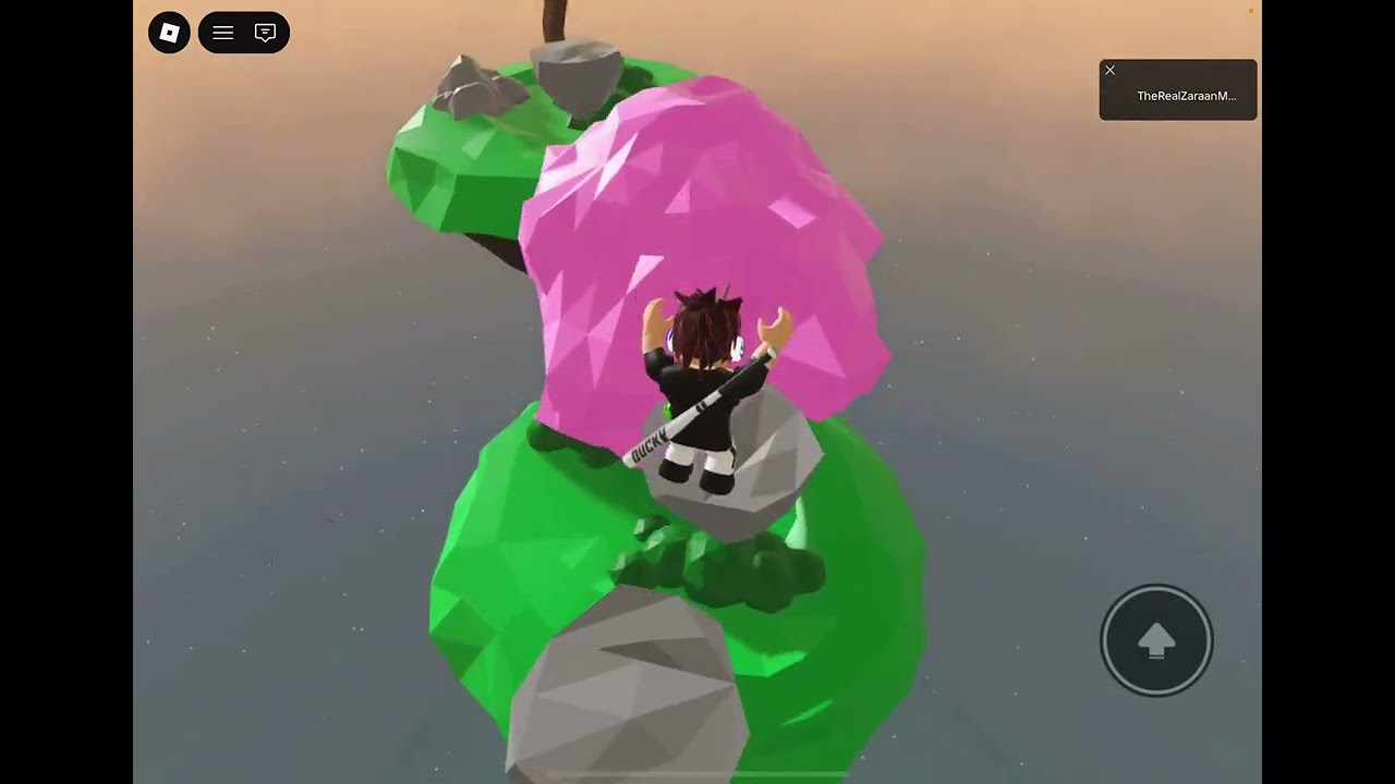 Playing the good obby