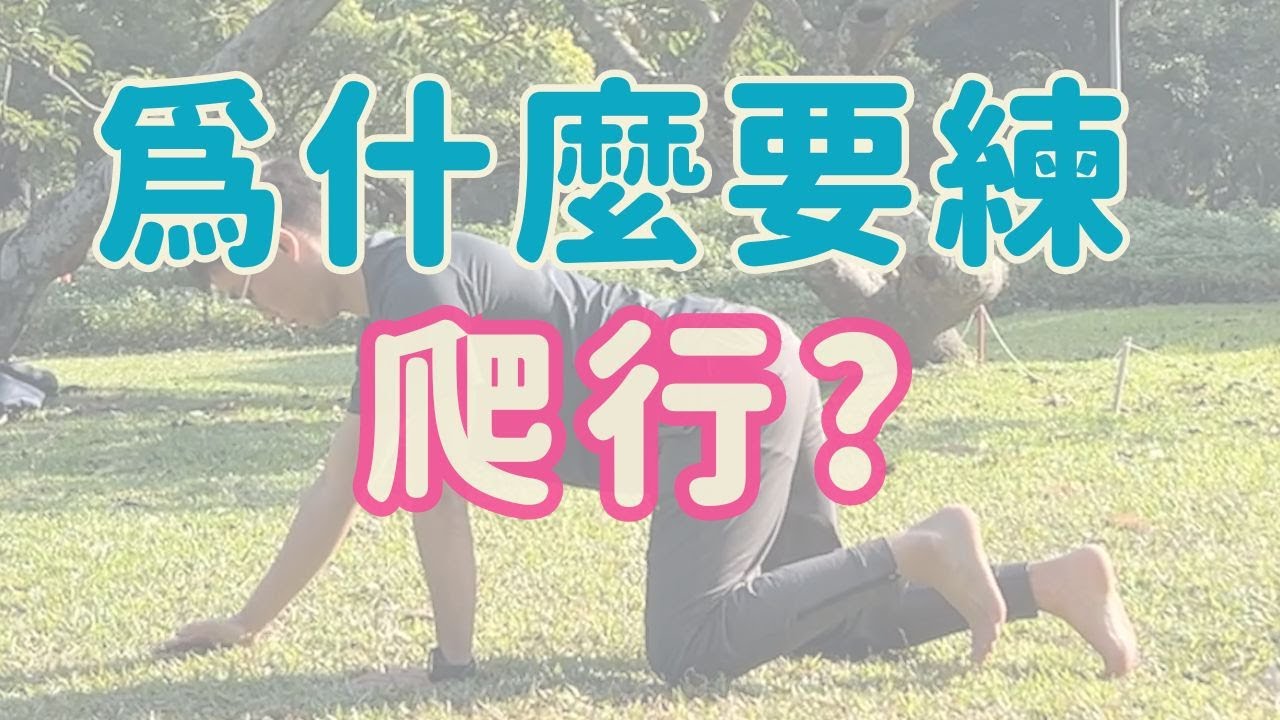 為什麼要練爬行? 教你快速學會爬行!  ▏北木健身