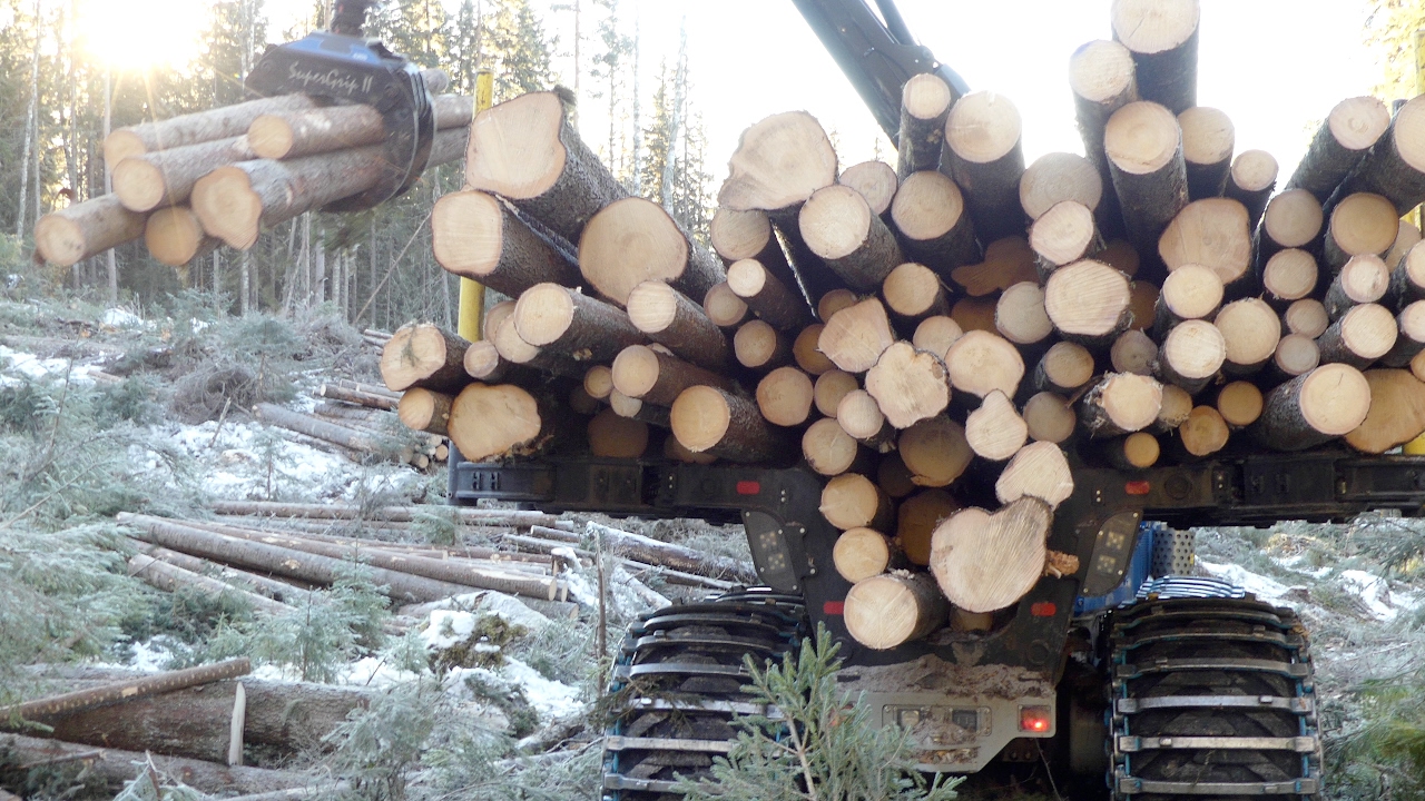 Nya Rottne F20 skotare kör långt och brant