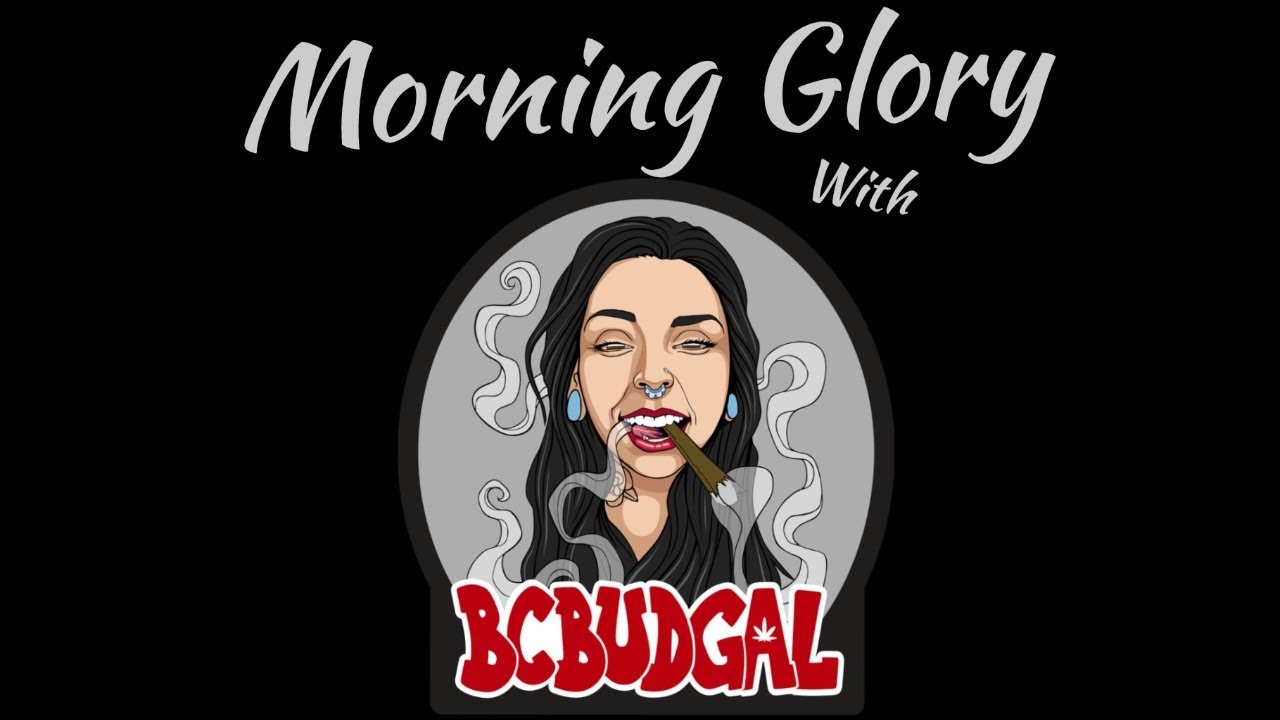 Morning Glory with BcBudGal: Lets get b-e-a-u-t-iful
