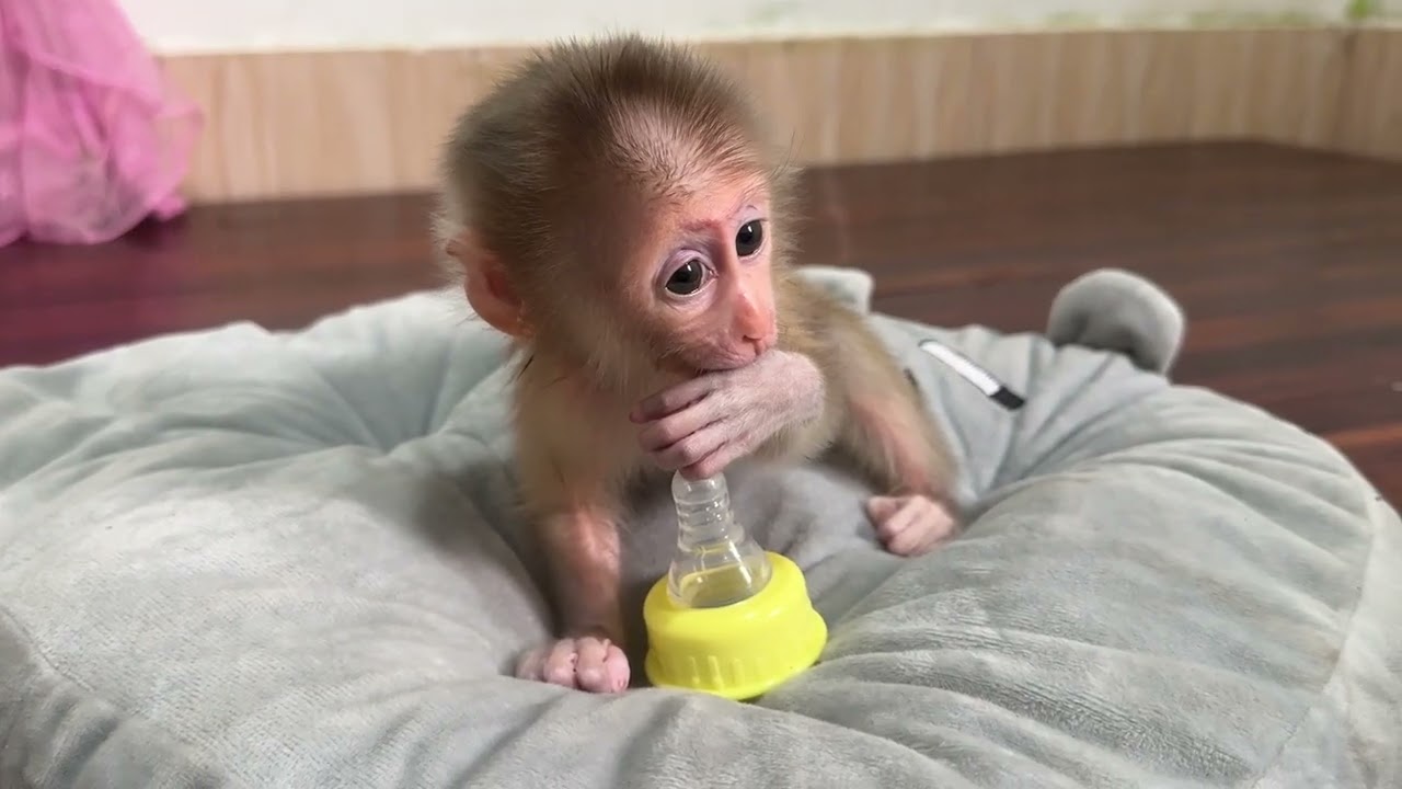 Good morning so lovely 🥰 young boy 👦 
