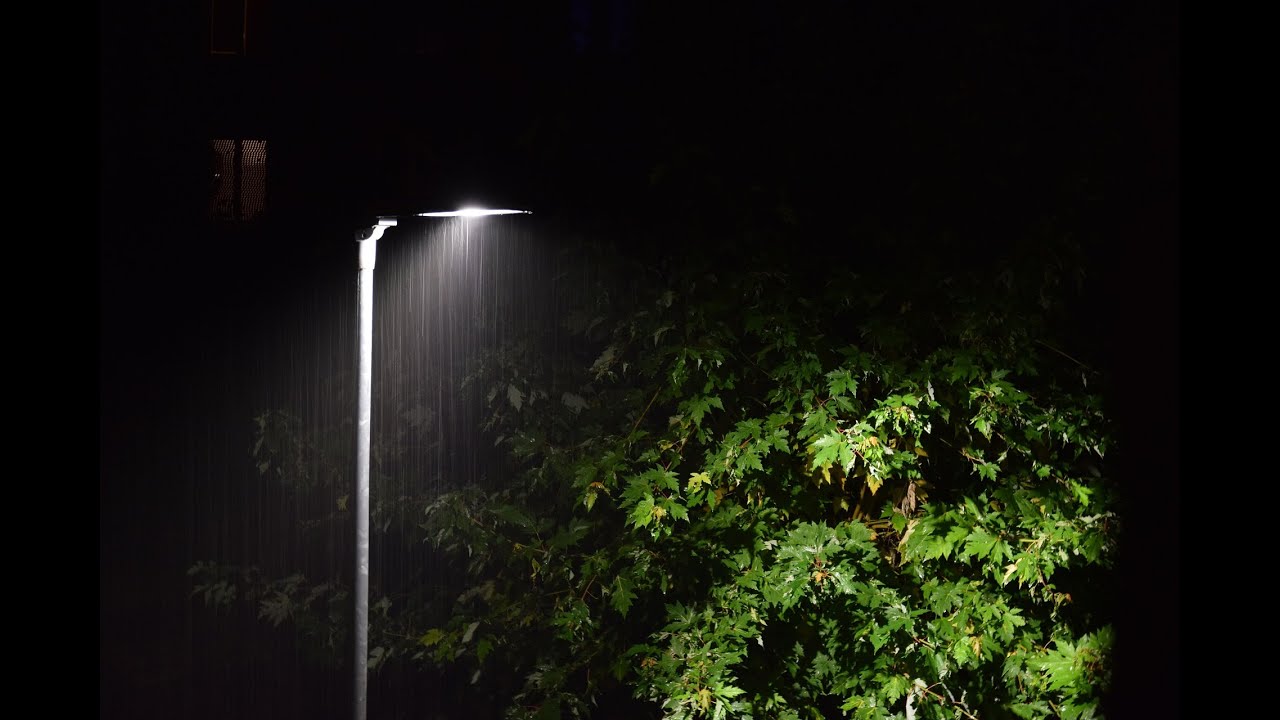 静かな雨音と微かな風｜深夜のリラックス雨｜睡眠・作業用　１時間　Quiet Rain with Gentle Wind | Calm Night Ambience | Sleep & Focus