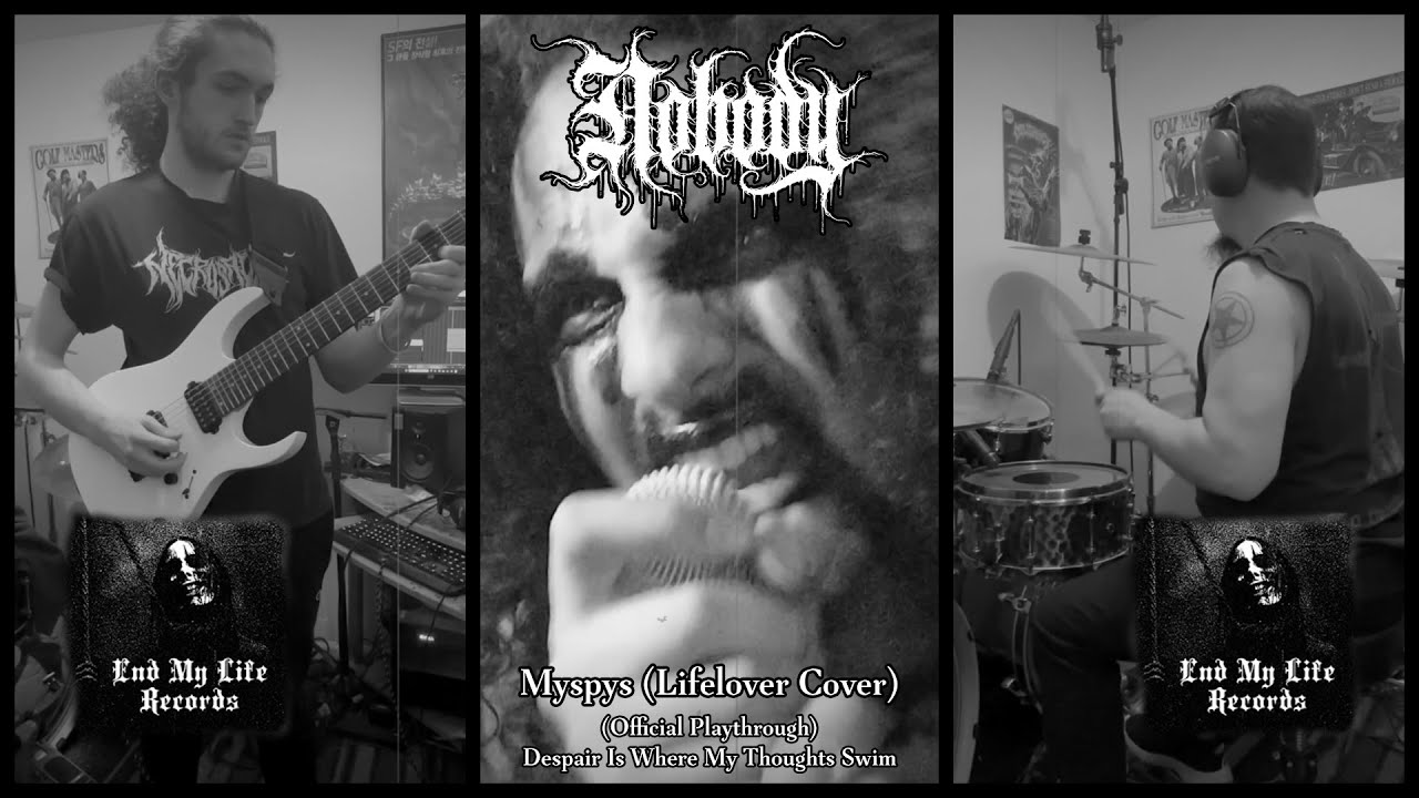 Nobody - Myspys Playthrough (Lifelover Cover)