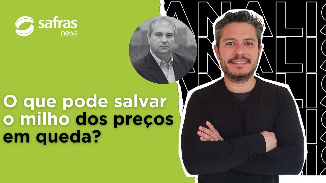 O que pode evitar a continuidade das quedas do milho no Brasil e globalmente?