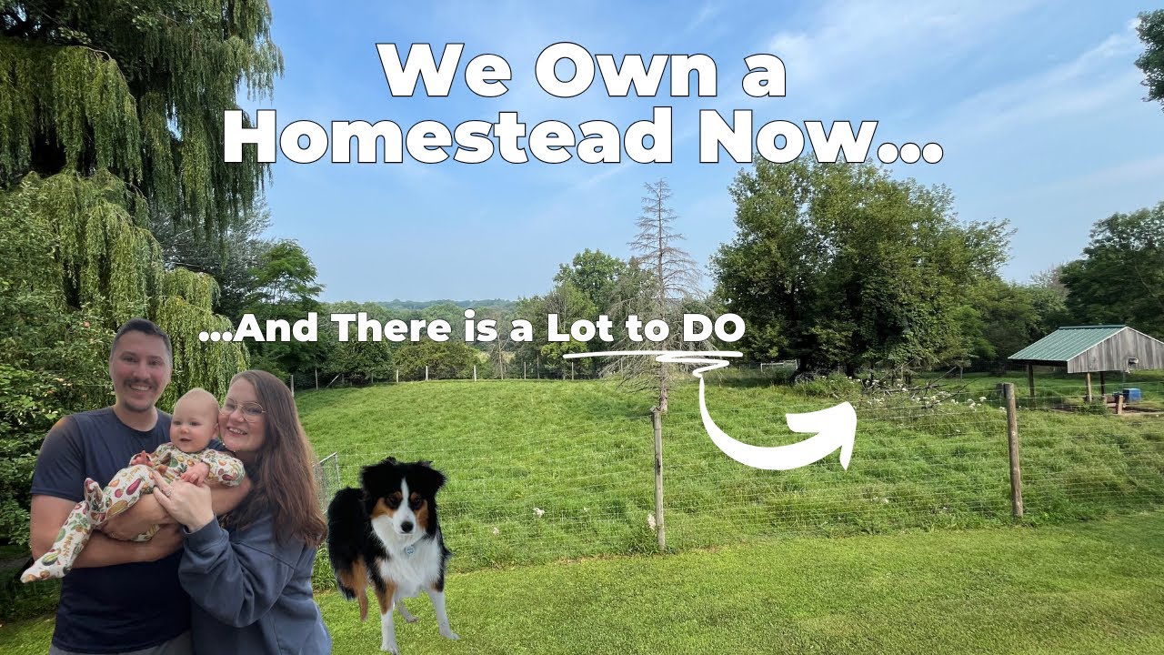 We Bought 5 Acres! | Welcome to The Kuehl Homestead in Wisconsin