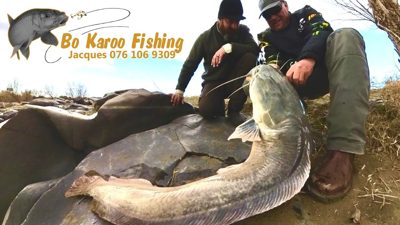Catfishing the Orange River, Compilation.