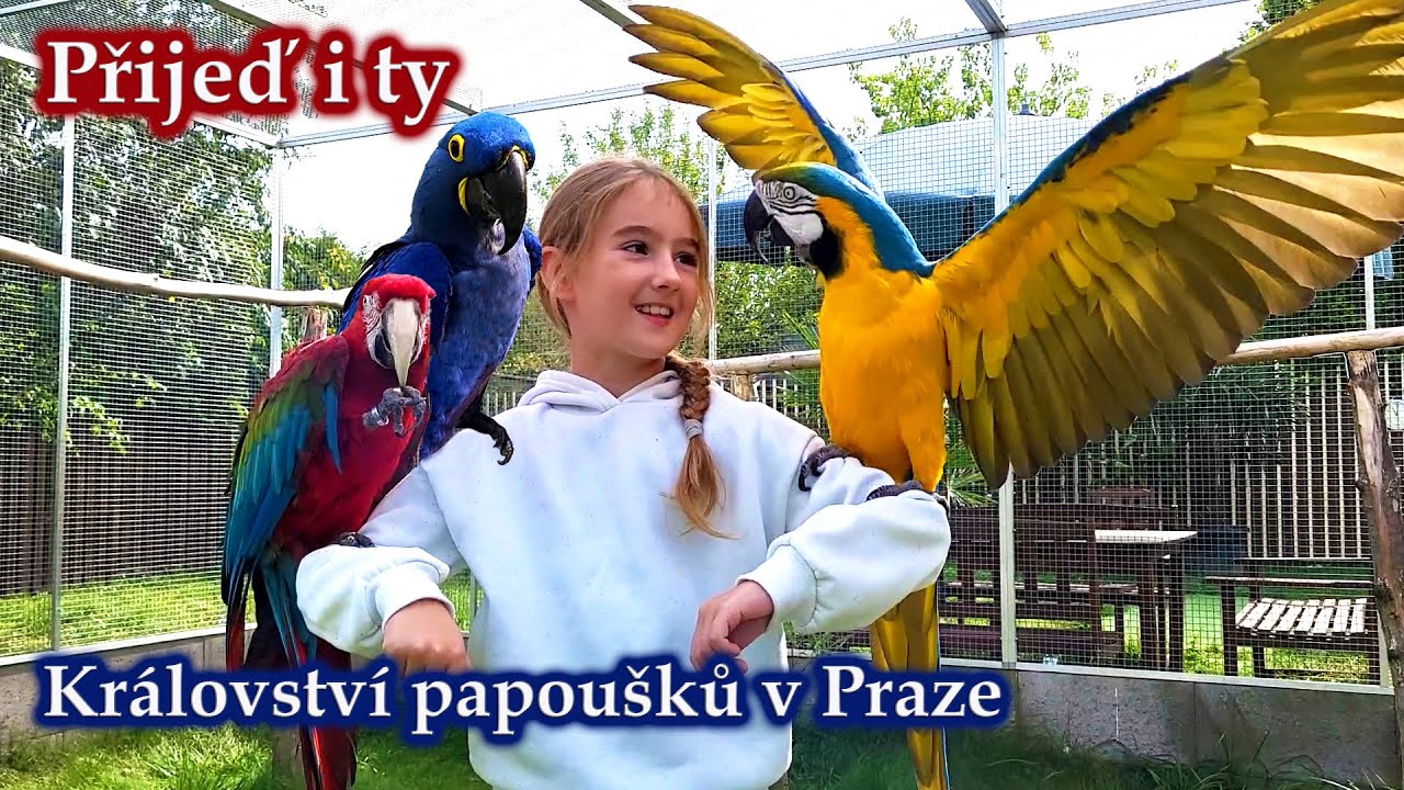 776 - Denisa a Robin v Kr&aacute;lovstv&iacute; papou&scaron;ků v Praze