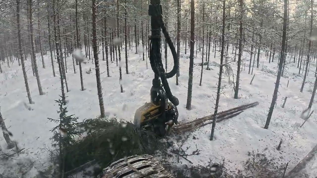 Ponsse scorpion H6 Harvennus 4K