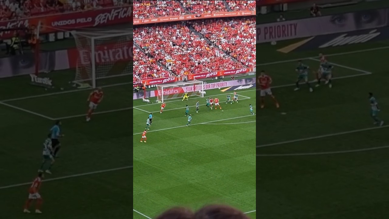 Quando se pega o gol ao vivo...#benfica #slb #slbenfica #carregabenfica #estadiodaluz