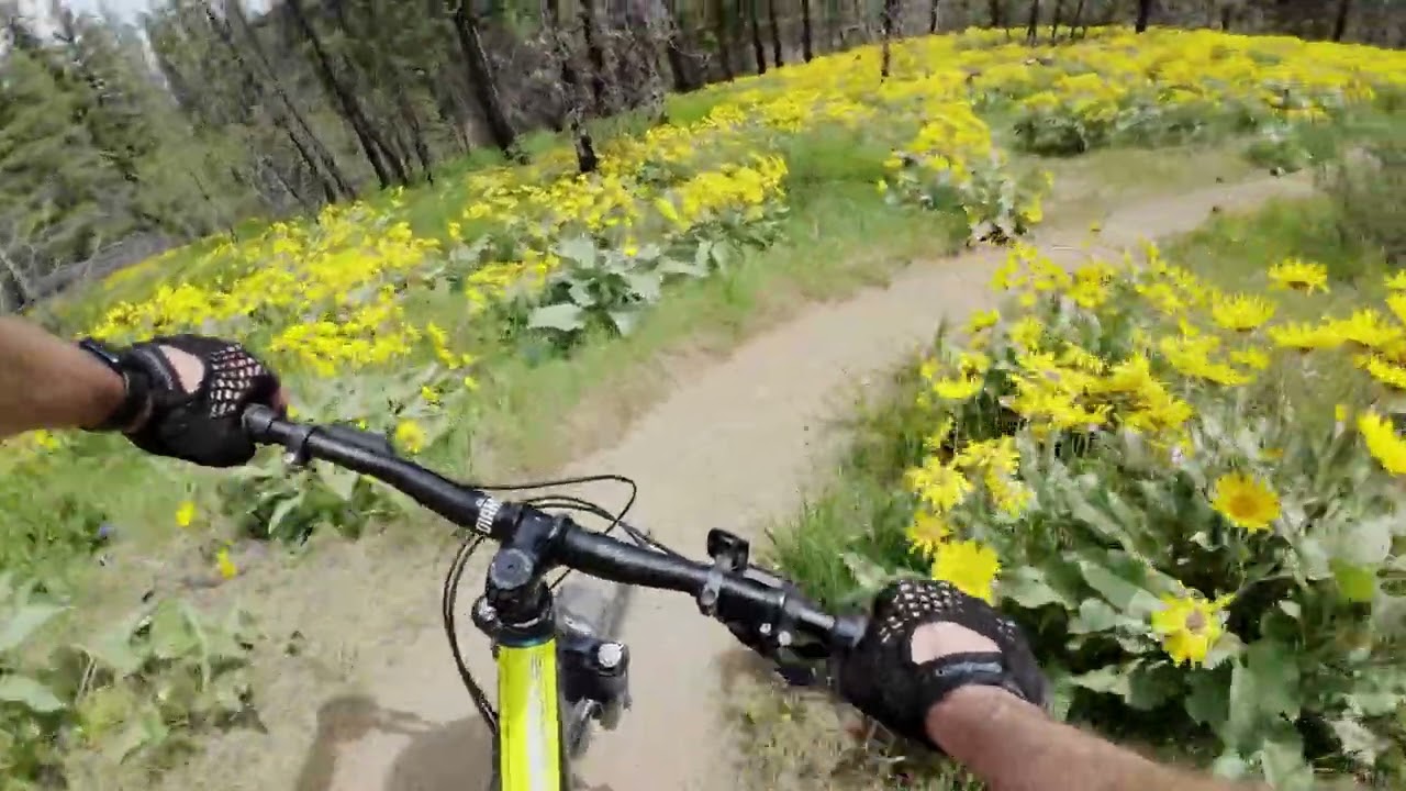 Climb It in Spring