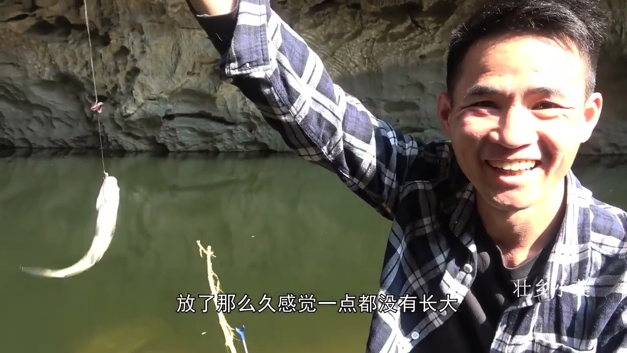 大型山洞养青鱼，20天后能长多大，小莫钓上来一看傻眼了
