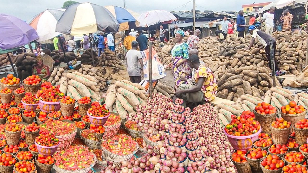 Mile 12 Yam Market Lagos Nigeria, Prices of Raw Food, Wholesale & Retail Shopping 2025.