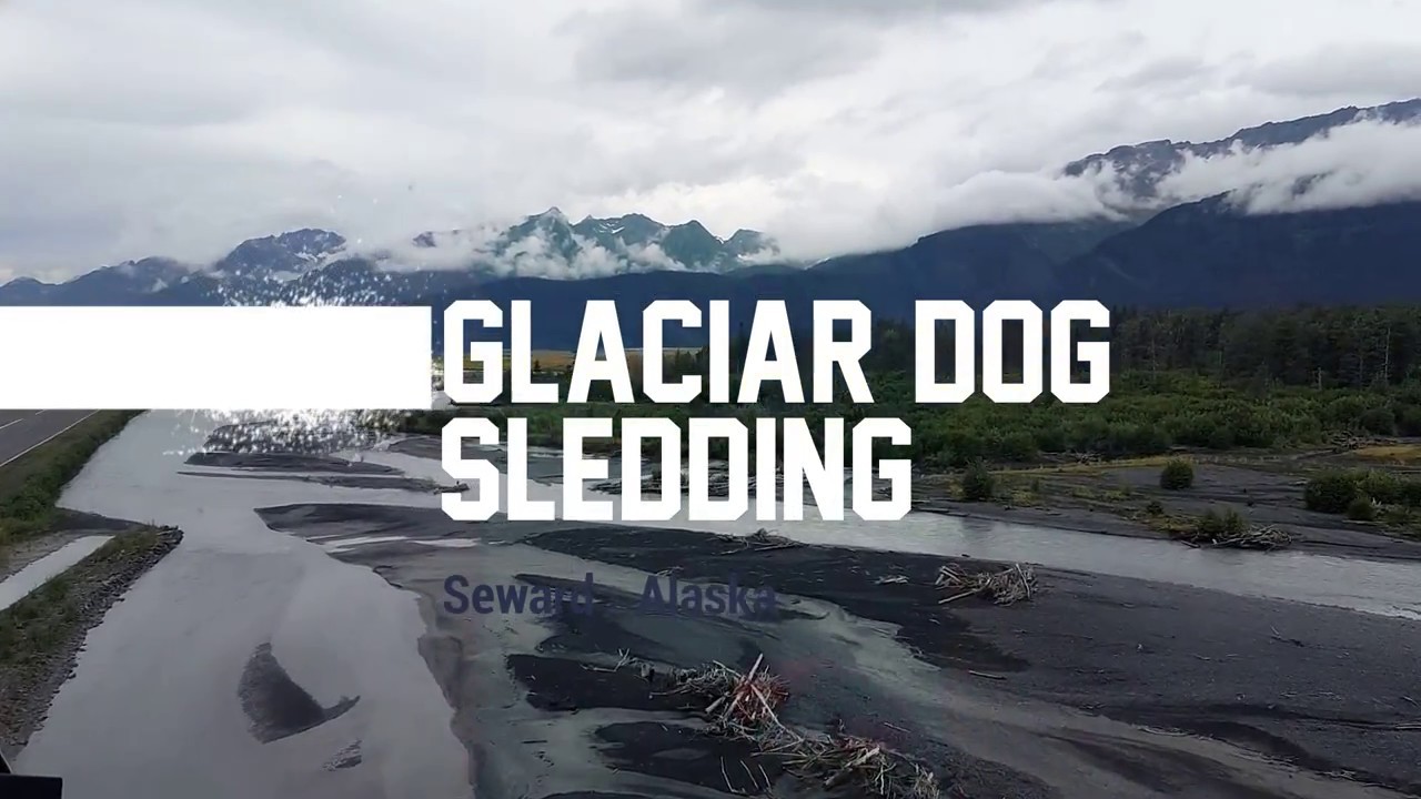Helicopter and Dog Sledding on a Glacier in Alaska - Seward