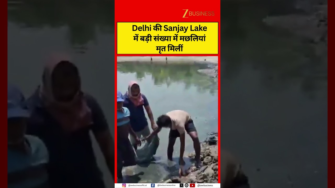 Environmental Concern After Fish Die-Off in East Delhi