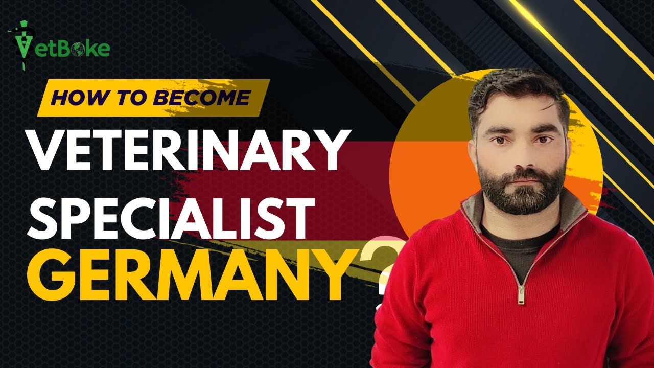 How to Become a Veterinary Specialist in Germany