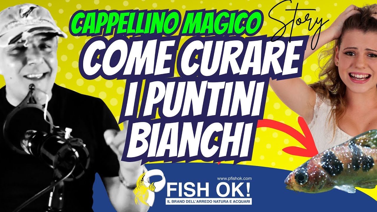 👨🏻‍⚕️🐟 Il Mio Pesce ha i Puntini Bianchi: Cosa Fare SUBITO