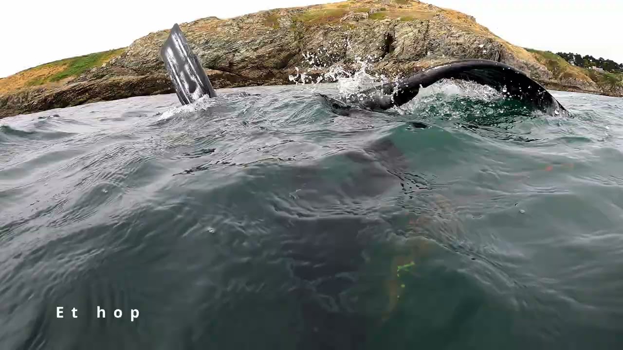 Pêche sous marine à Belle-île 6-7 Juillet 2024