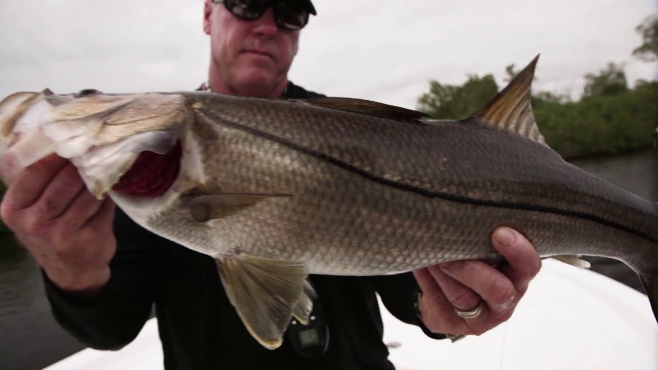 The Seahunter Season 1 Episode 7 | Everglades Slammin'
