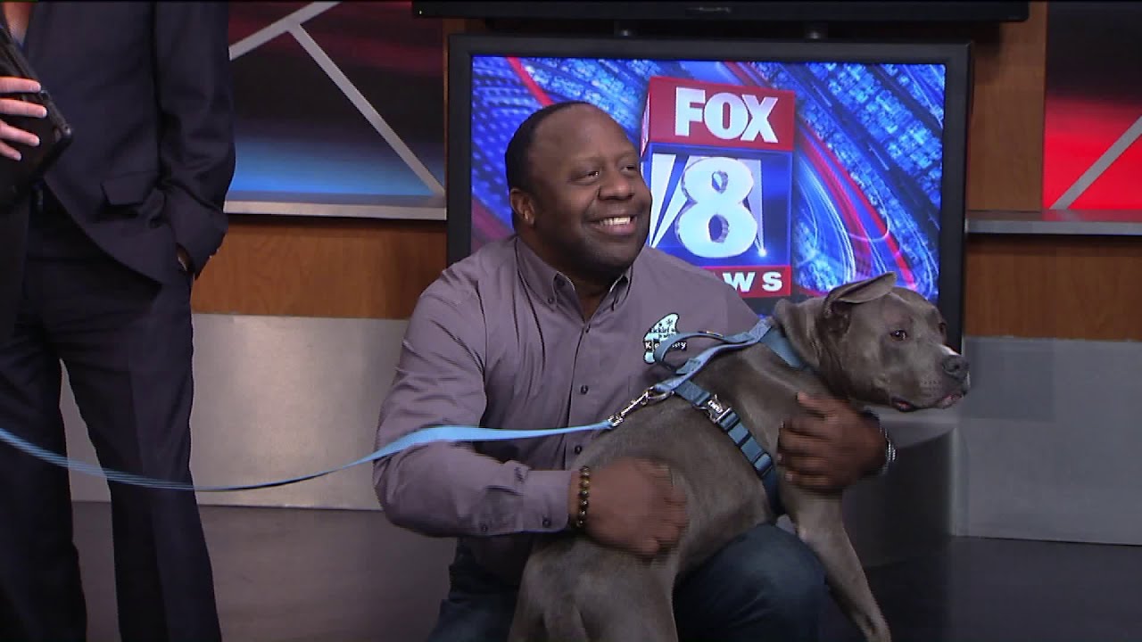 A Night at Studio 54 Reverse Raffle