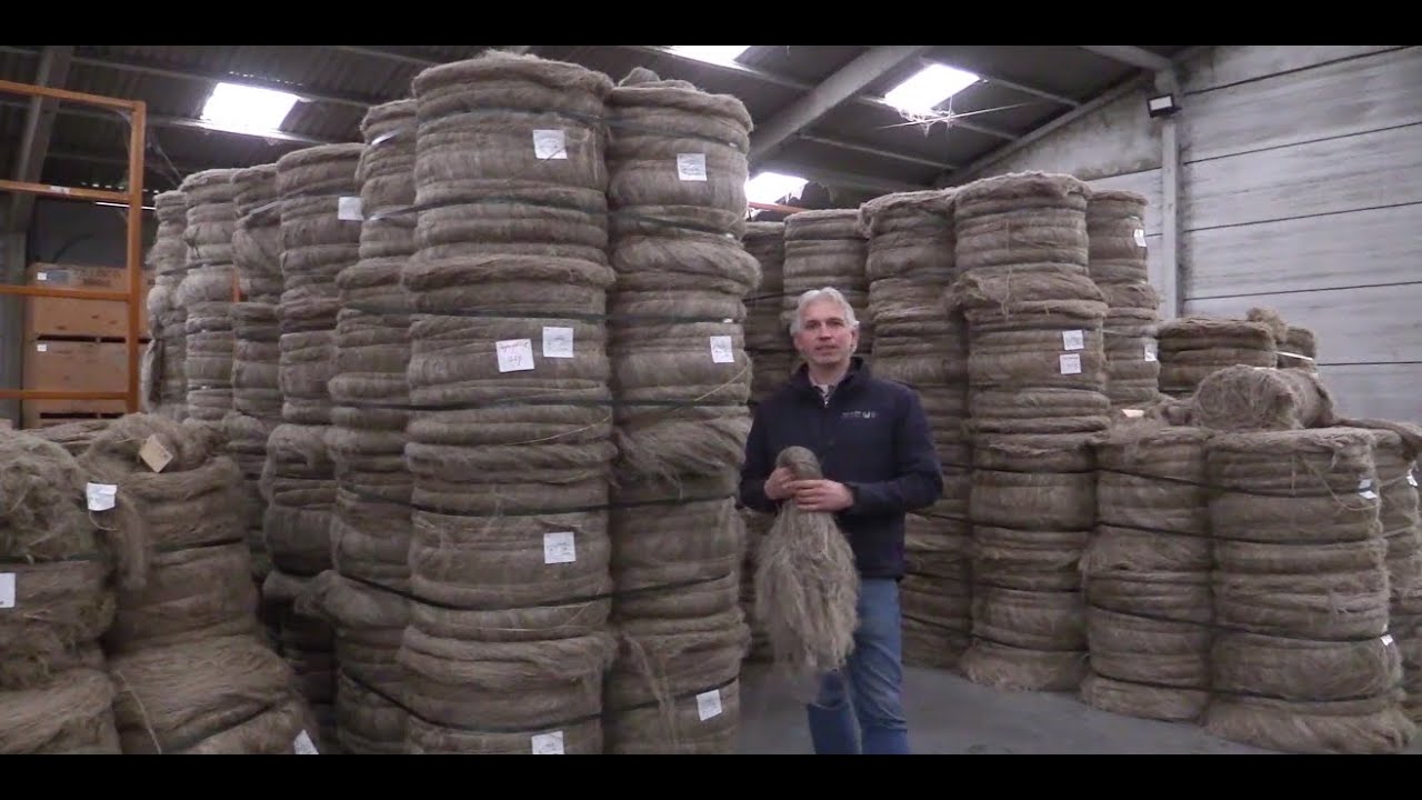 Buijtenland van Lenno Vermaas - vlas verwerking in de fabriek (DEEL 2)