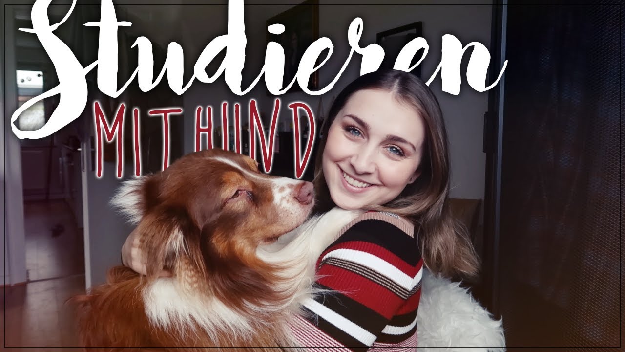 Studieren mit Hund | Vor- und Nachteile | Alittas Diary