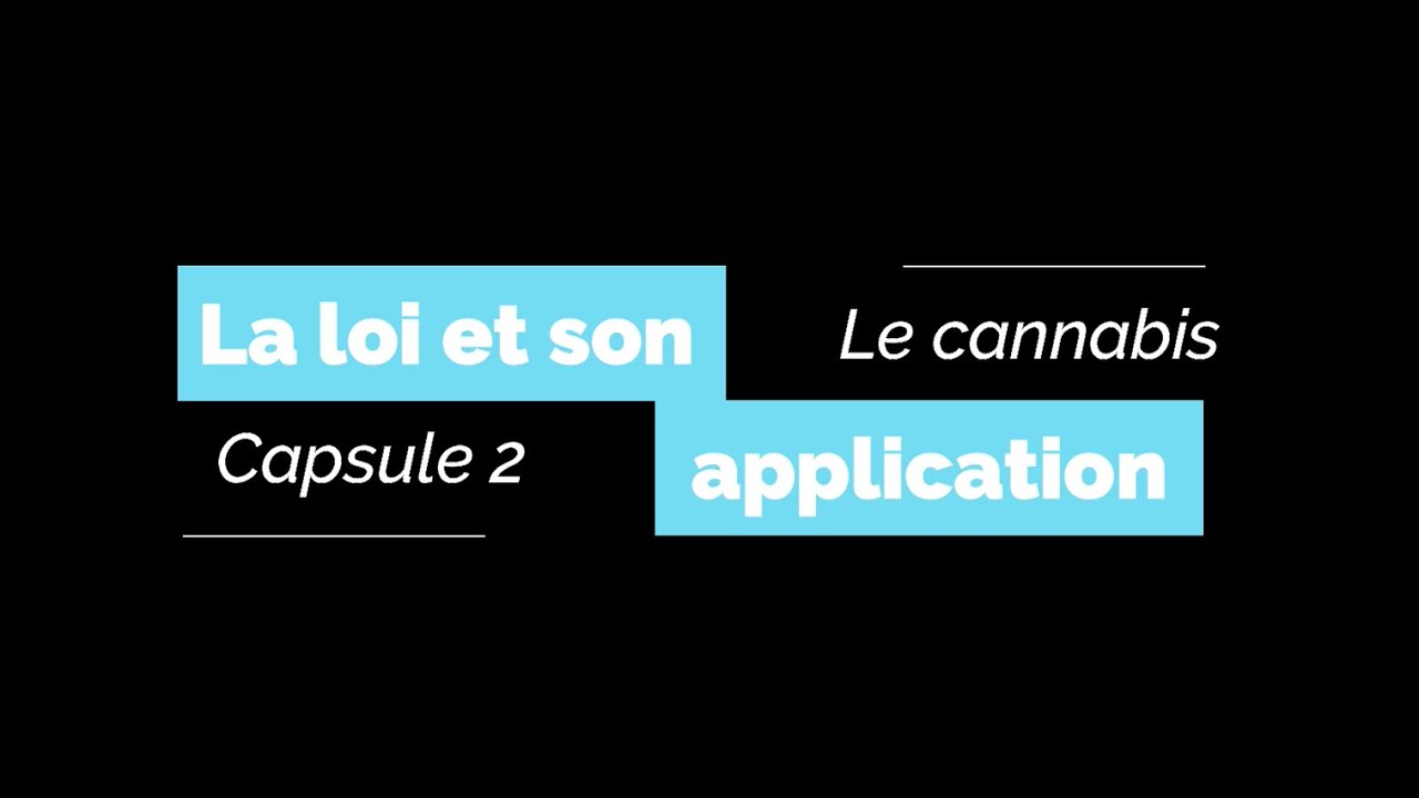 Capsule 2 - Le cannabis : la loi et son application.