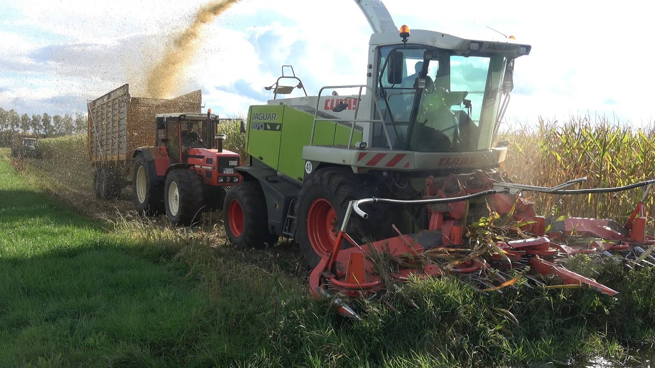 Folbert met Claas Jaguar 870 Speedstar aan het mais hakselen voor Kolkman - deel 1 (2022)
