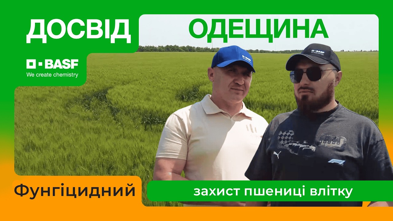 Фунгіцидний захист пшениці влітку: результати господарства ПСП 