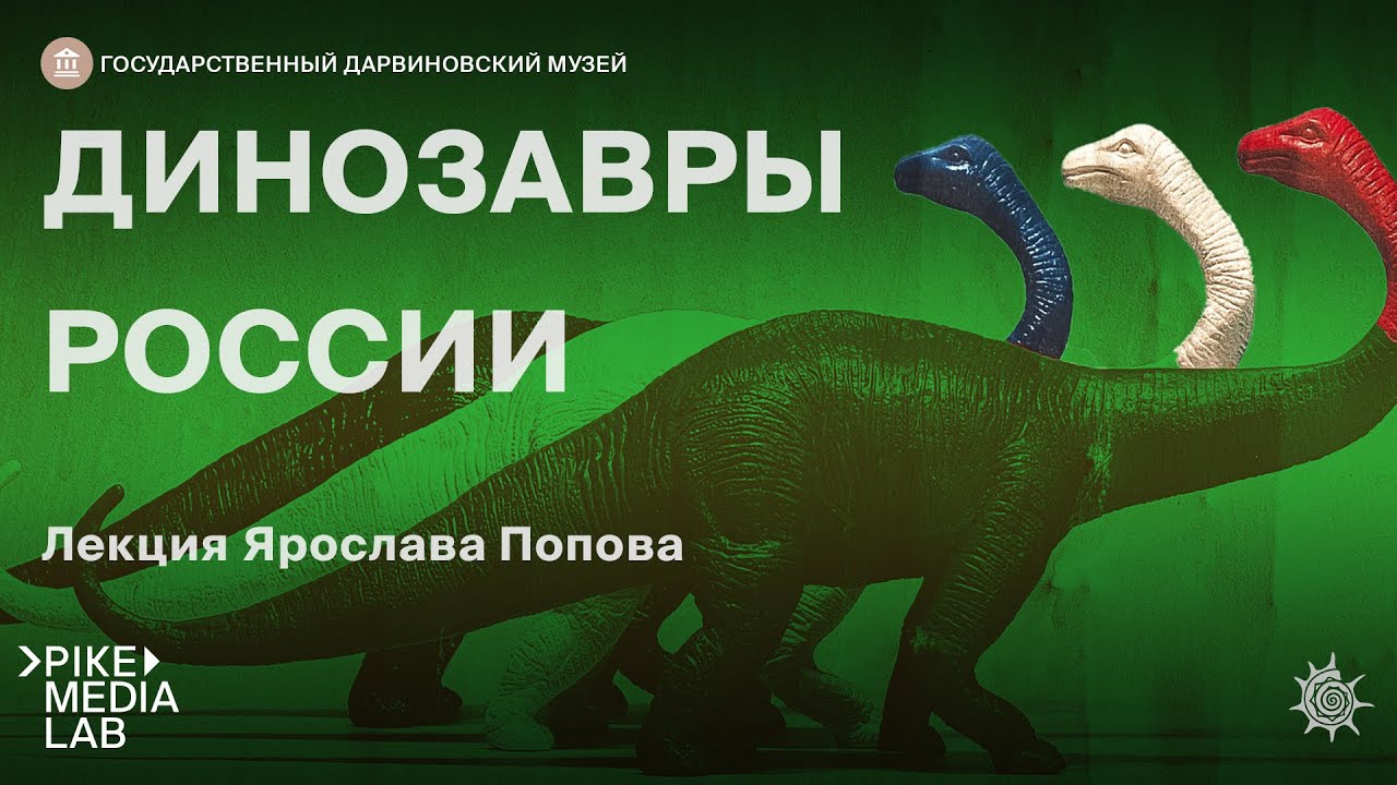 Онлайн-лекция Ярослава Попова 