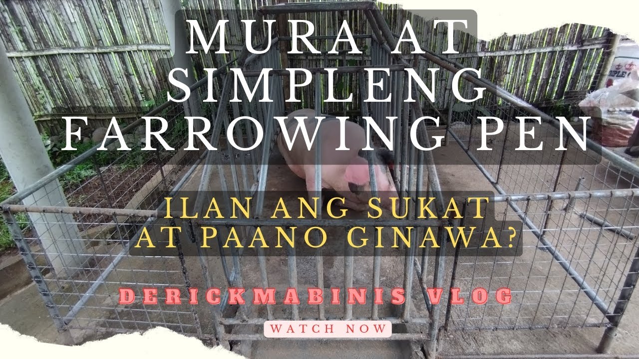 Farrowing Design | ILAN ANG SUKAT | Paano ang pagkakagawa|derickmabinisvlog