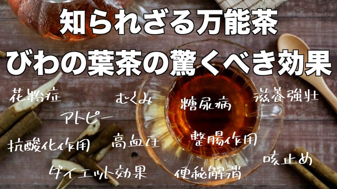 【知られざる万能茶！びわの葉茶の驚くべき効果】【免疫力を高める★花粉症やアトピーの症状も緩和】抗酸化作用で老化予防♫
