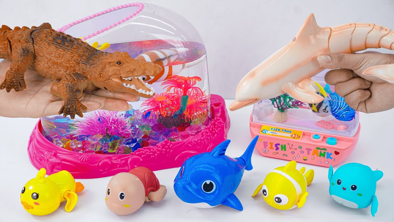 31 Minutes Satisfying with Unboxing Review Zuru Fish & RC Dolphin & Whale Aquarium Playset Toys ASMR