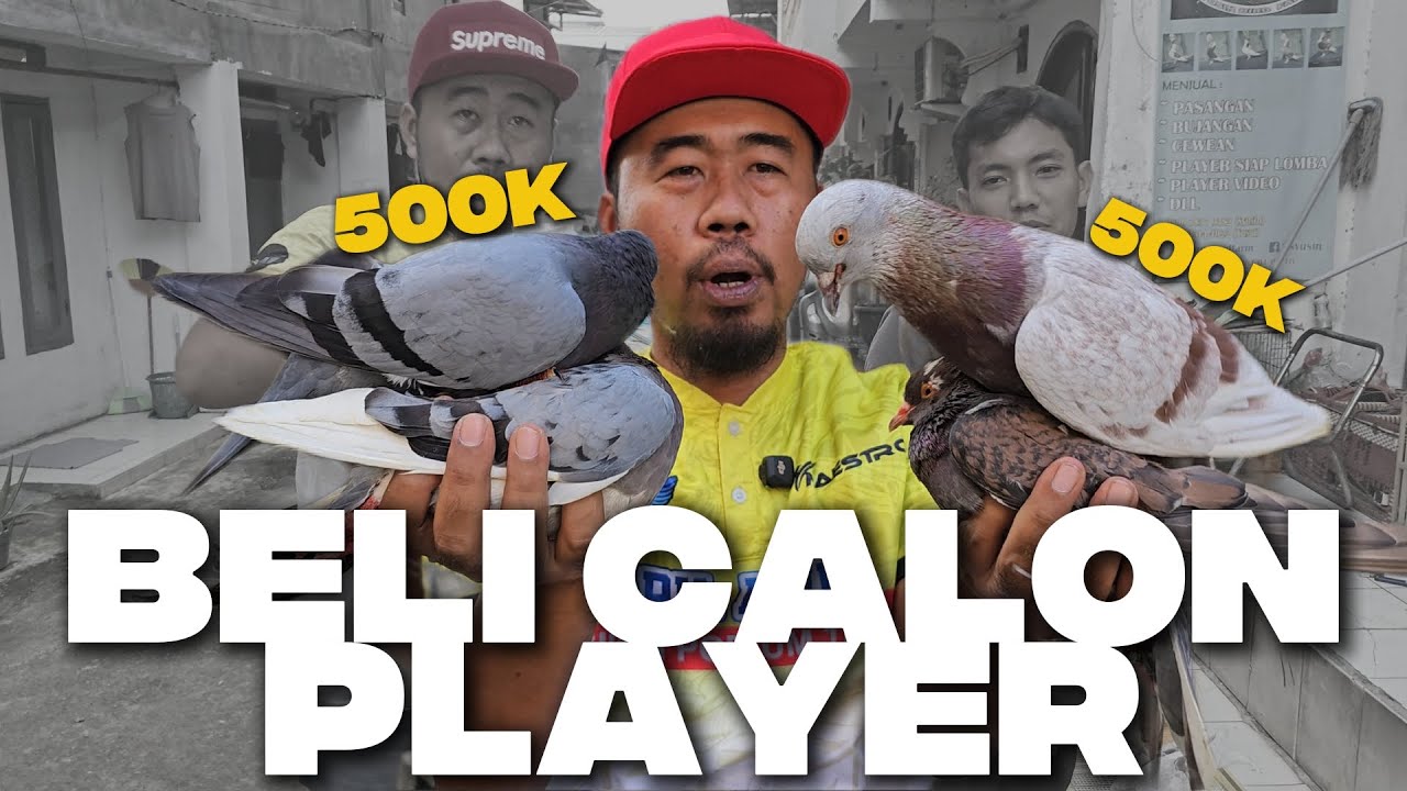 AKHIRNYA BELI PLAYER‼️ DI KIOS MERPATI SYUSIN BF ASLI MEWAH BERGARANSI