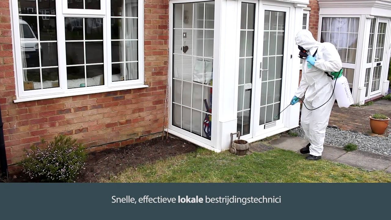 De Experts in Pest Control | Rentokil Nederland