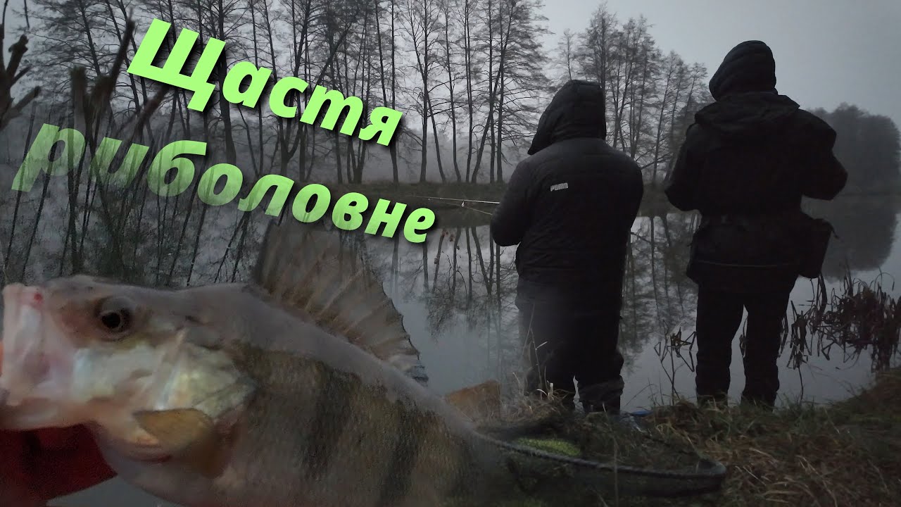 ОБЕРЕЖНО! ОКУНЯКО - ПУЗЕНЯКИ! #fishing #спінінг #jigging #streetfishing #fishingtips