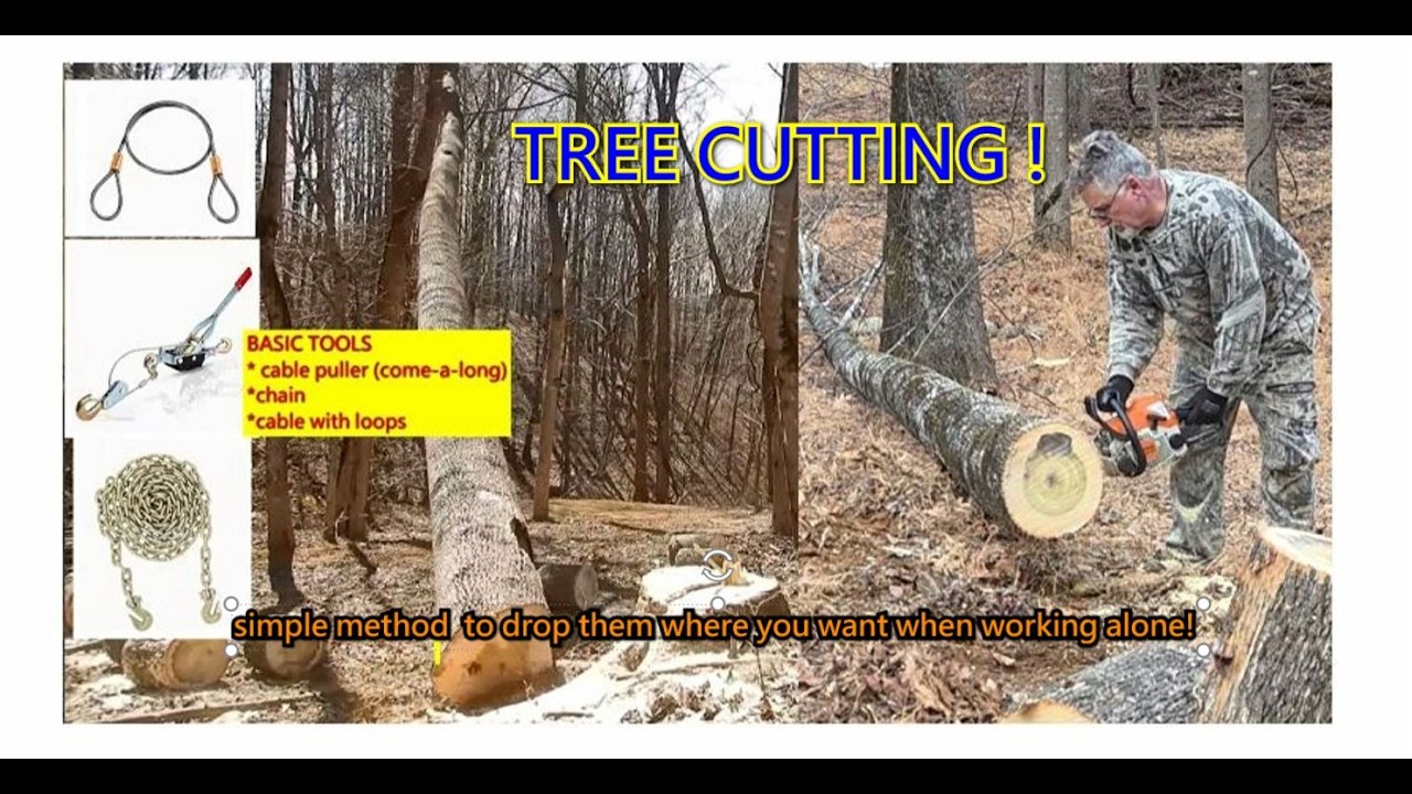 TREE CUTTING! DROP IT IN THE RIGHT SPOT EVERY TIME!
