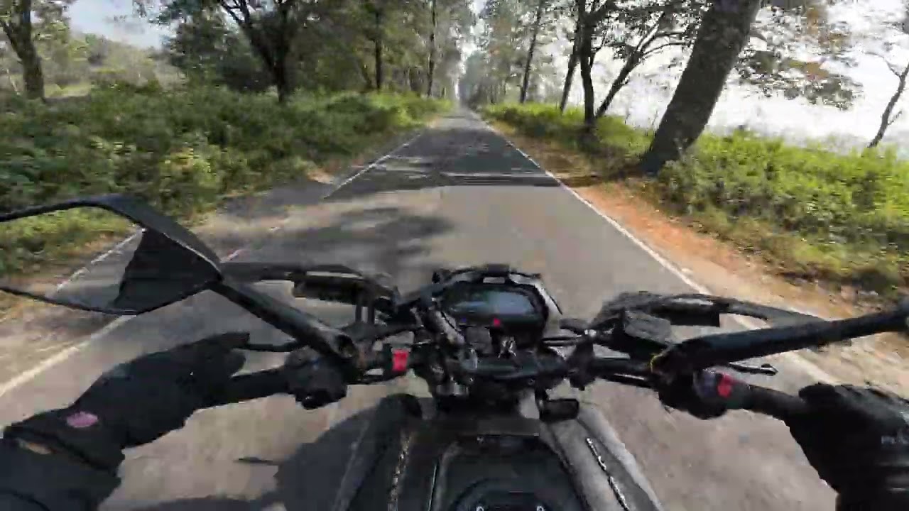 DOMINAR 400 RAW RIDE