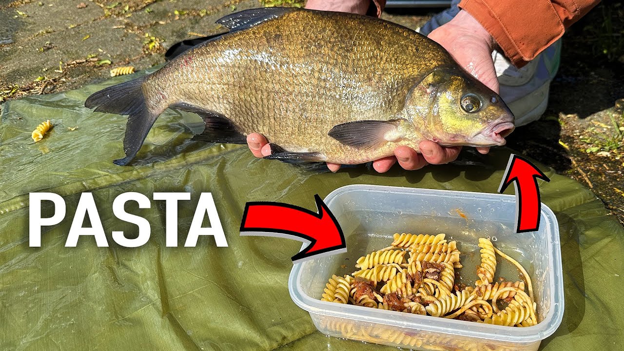 Stekkie - vissen met etensrestjes!
