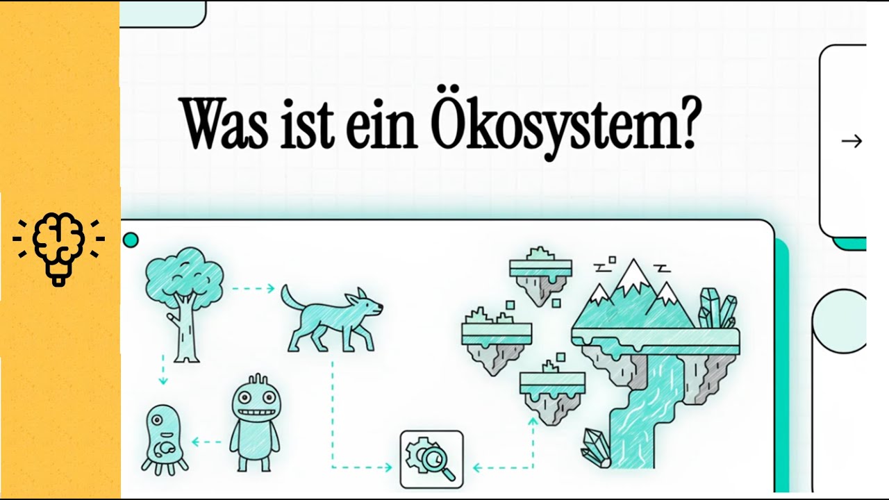 Was ist ein Ökosystem? | EINFACH ERKLÄRT